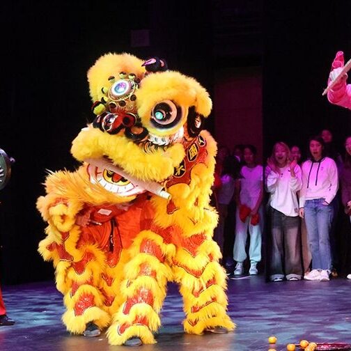 Image related to the post titled: A Lion Dance for Lunar New Year