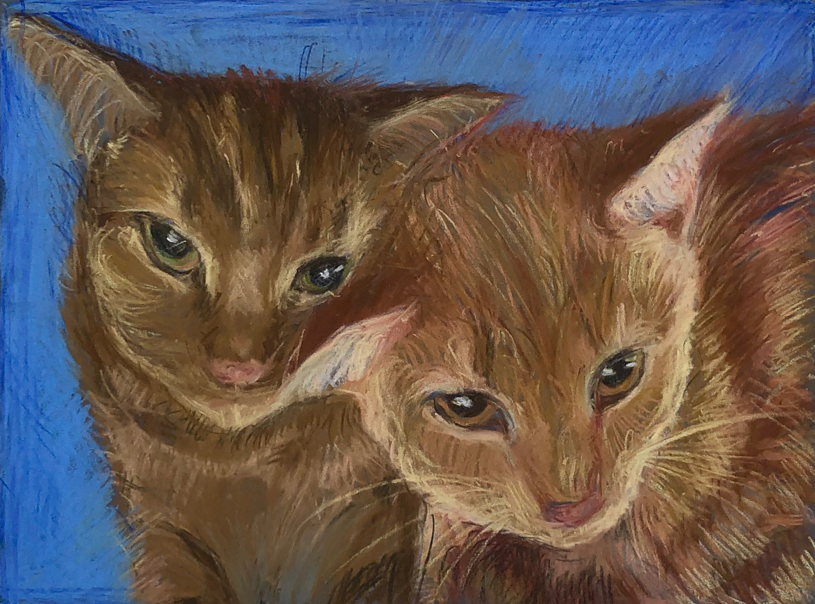 portrait of two cats